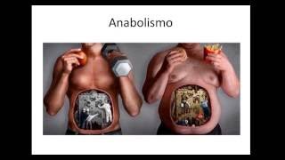 FISIOLOGIA Vídeo 01 o que é metabolismo anabolismo e catabolismo [upl. by Dyanna405]