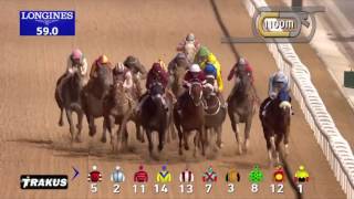 2017 杜拜世界盃Dubai World Cup  美國馬王「霸道駒」Arrogate 按疆輕勝 [upl. by Lehacim903]