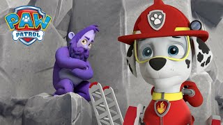 Marshall rettet einen Humquatch von einer gefährlichen Klippe  PAW Patrol Germany Cartoons [upl. by Benyamin]