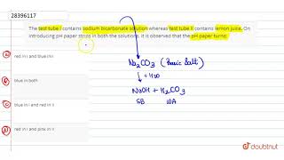 The test tube I contains sodium bicarbonate solution whereas test tube II contains lemon juice [upl. by Yanetruoc45]