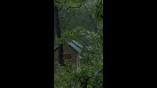 Rain Sounds For Sleeping  😴 Fall Asleep FAST With Heavy Rain Sounds [upl. by Philender]