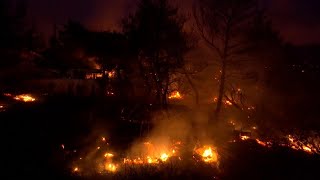 Grecia emergenza incendi le fiamme si avvicinano ad Atene [upl. by Hesta]