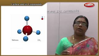 Carbon and its Compounds  TN 10th std ScienceChemistry  Question Bank Live Teaching [upl. by Bellew]