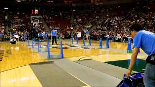 Seattle FlyDogs Flyball Club Seattle Storm Basketball Performance [upl. by Stanley]