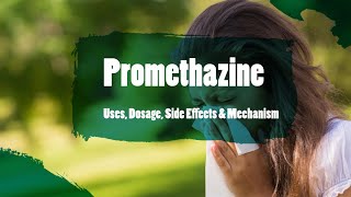 promethazine  Uses Dosage Side Effects amp Mechanism  Phenergan [upl. by Llerdnod550]