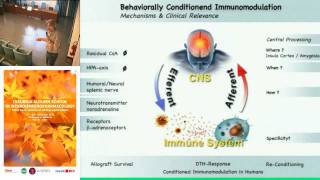 How learning is shaping immunity  Manfred Schedlowski University of DuisburgEssen [upl. by Ynnub]