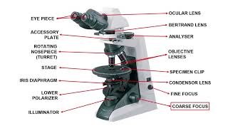 Polarizing Petrographic Microscope  Optical Mineralogy Part4  GeologyConceptscom [upl. by Antony]