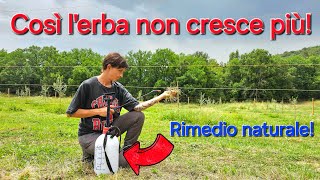 Così blocchiamo la crescita dellerba in modo naturale ed economico [upl. by Mella]