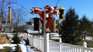 HOME MADE PVC bird feeder pole [upl. by Janik]