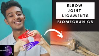 LIGAMENTS OF ELBOW JOINT COMPLEX  BIOMECHANICS Physiotherapy Tutorials [upl. by Halimaj355]