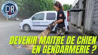 DEVENIR MAITRE DE CHIEN EN GENDARMERIE [upl. by Norod876]