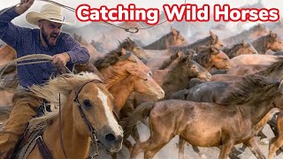 Gathering Feral Horses On the Navajo Nation [upl. by Nivak642]