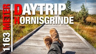 Der HÖCHSTE GIPFEL des Nordschwarzwalds 🚶 🎒 Wanderung auf die Hornisgrinde  DAYTRIP [upl. by Benson42]