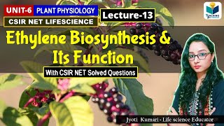 ETHYLENE BIOSYNTHESIS AND FUNCTIONS  PHYTOHORMONESPART13CSIR NET PLANT BIOLOGY [upl. by Rimhsak]