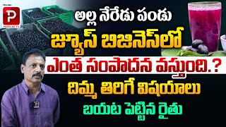 Farmer Maruthi Prasad About Jamun Juice Business  Neredu Pallu Business  Telugu Popular TV [upl. by Sacken]