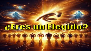 ✨Quiénes son LOS ELEGIDOS de Dios ✨Puedes ser uno de ellos [upl. by Nnylav]