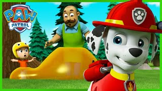 Marshall saves campers covered in sticky syrup and more  PAW Patrol Episode  Cartoons for Kids [upl. by Yknarf]