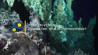 Keep On Venting  Ep 2  What is Chemosynthesis [upl. by Ojeibbob]