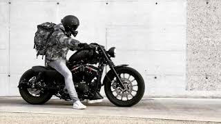 Sportster Iron 883 Brutal Sound [upl. by Ahsinav]