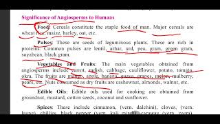 Significance of Angiosperms class 11 plants Angiosperm flowers botany biology food importance [upl. by Jodi]