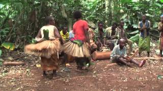 Traditional Baka womens dance East region Cameroon [upl. by Shah714]