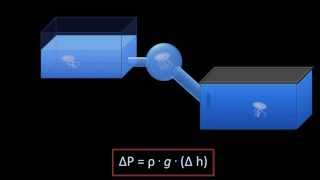 Hydrostatic Pressure Fluid Mechanics  Lesson 3 [upl. by Maxentia]