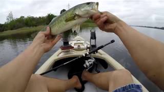 Bass fishing Lake Bastrop Texas North Shore and South Shore [upl. by Eudora]