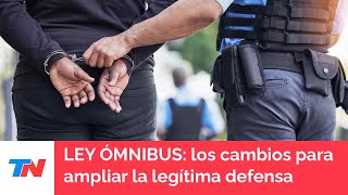 LEY ÓMNIBUS los cambios que propone el Gobierno de Javier Milei para ampliar la legítima defensa [upl. by Yerfoeg]