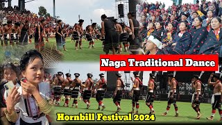 Naga Traditional Dance Performance Hornbill Festival Nagaland 2024।। Naga community culture [upl. by Aicilic]