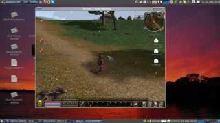 Ubuntu Metin 2 Gameplay [upl. by Sidra]