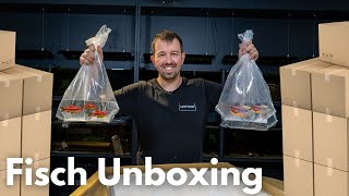 Aquarium Fisch Unboxing [upl. by Enalb]