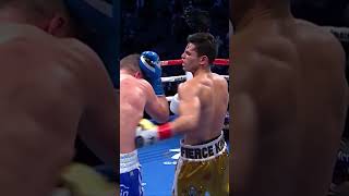 Ryan Garcia vs Luke Campbell [upl. by Seyler]