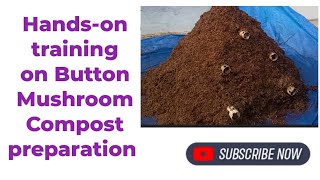 Button mushroom compost preparation Compost Pipe method se compost taiyar karna [upl. by Pisano160]