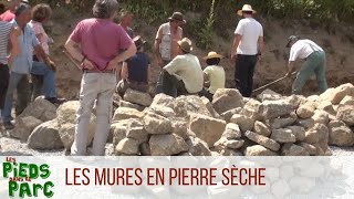 Les Pieds dans le Parc 2  Les murs en pierre sèche [upl. by Trixie848]