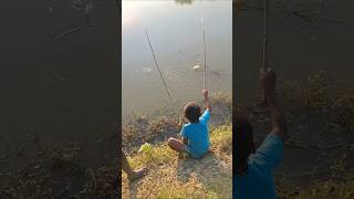 Amazing Two Boys catching big fish by hook trap trapfishing catchfish hookfishing shorts [upl. by Aryaz674]