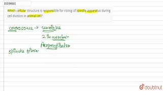 Which cellular structure is responsible for risinig of spindle apparatus during cell division in ani [upl. by Eirac]