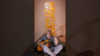 Robbie Williams  Advertising Space  Acoustic Cover [upl. by Zina]