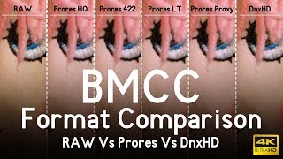 Blackmagic Cinema Camera Format Comparison [upl. by Garvy]