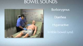 HAL® S3201  Part 9  Bowel sounds [upl. by Viv]