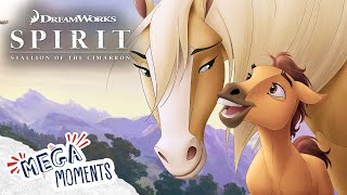 Spirit Is Born 🍼  Spirit Stallion of the Cimarron Here I Am Full Song  Movie  Mega Moments [upl. by Myrtie]