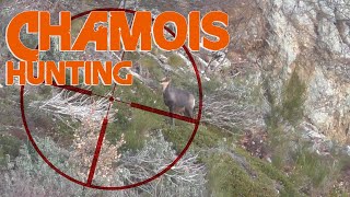 Hunting Pyrenean Chamois  2015 [upl. by Rainer]