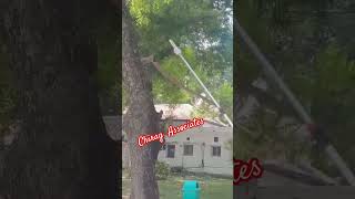 HT75 Tree Pruner Demo [upl. by Georgiana]