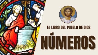 Números  Peregrinaje y Pruebas en el Desierto  El Libro del Pueblo de Dios [upl. by Nyleikcaj]