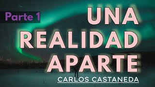 UNA REALIDAD APARTE  C Castaneda  Parte 1  Audiolibro completo  Español  Voz humana [upl. by Nannaihr409]