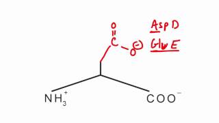 Memorize the 20 amino acids in 20 minutes Part 2 [upl. by Trbor]