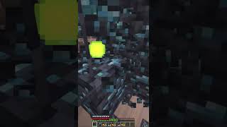 She knows 💀💀💀 minecraftshorts minecraft minecraftmemes viralvideo [upl. by Londoner]