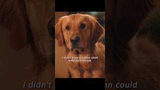 The puppy hadn’t thought of his mistress making that noiseshorts viralvideo shortsvideo [upl. by Sucramed]