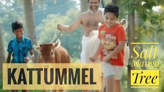 Kattummel song  Salt Mango Tree Trending Music whatsapp status video feel good song  Biju Menon [upl. by Hafeetal189]