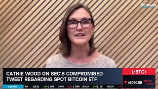 Ark Invest’s Cathie Wood On Bitcoin ETF amp Crypto Investing [upl. by Secundas]