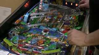 182 Williams FISH TALES Pinball Machine and a WPC board tip TNT Amusements [upl. by Oza]